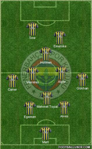 Fenerbahçe SK Formation 2013