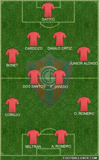 C Cerro Porteño Formation 2013