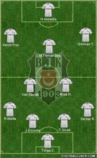 Besiktas JK Formation 2013