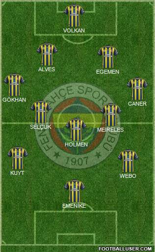 Fenerbahçe SK Formation 2013