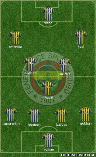 Fenerbahçe SK Formation 2013