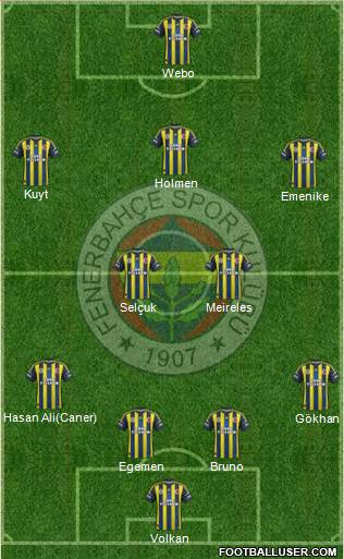 Fenerbahçe SK Formation 2013