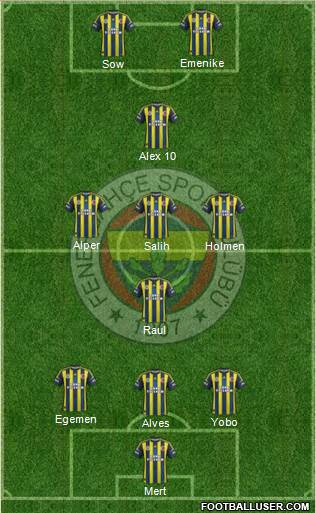 Fenerbahçe SK Formation 2013