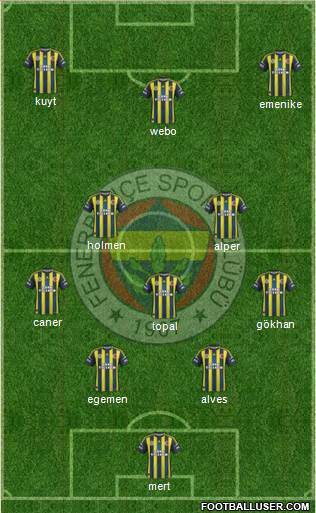 Fenerbahçe SK Formation 2013