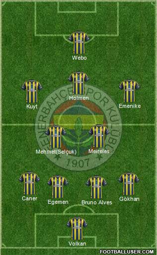 Fenerbahçe SK Formation 2013