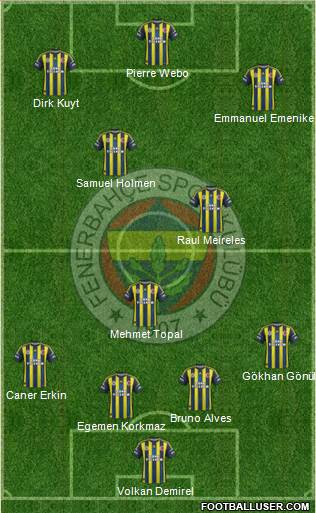 Fenerbahçe SK Formation 2013