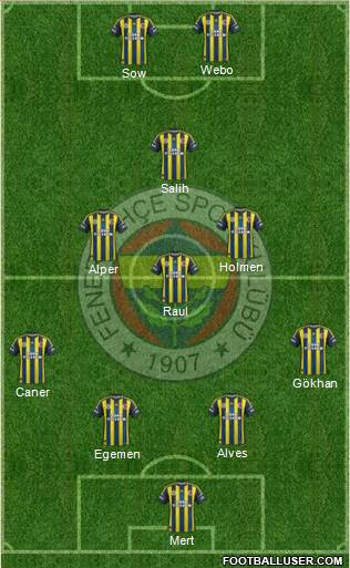 Fenerbahçe SK Formation 2013