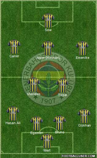 Fenerbahçe SK Formation 2013