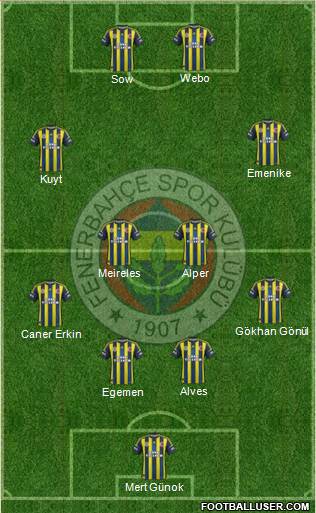 Fenerbahçe SK Formation 2013