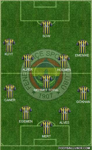 Fenerbahçe SK Formation 2013