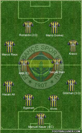 Fenerbahçe SK Formation 2013