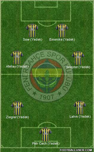 Fenerbahçe SK Formation 2013