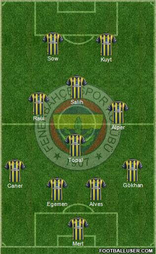 Fenerbahçe SK Formation 2013