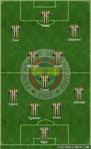 Fenerbahçe SK Formation 2013