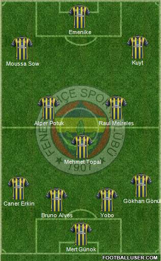 Fenerbahçe SK Formation 2013