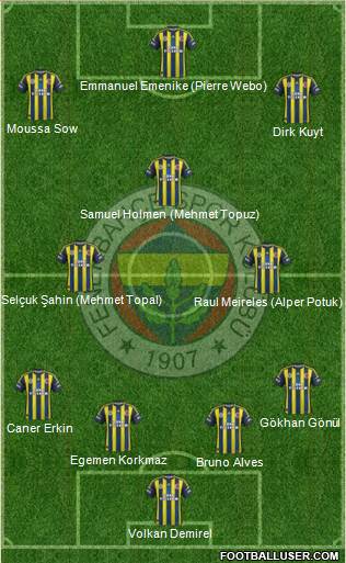 Fenerbahçe SK Formation 2013