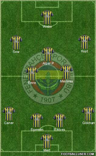 Fenerbahçe SK Formation 2013
