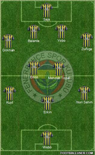 Fenerbahçe SK Formation 2013