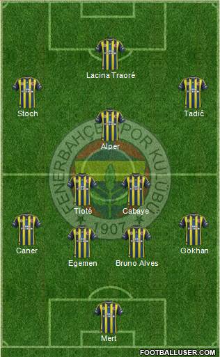 Fenerbahçe SK Formation 2013
