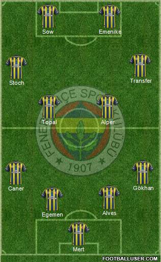 Fenerbahçe SK Formation 2013