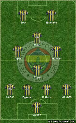 Fenerbahçe SK Formation 2013