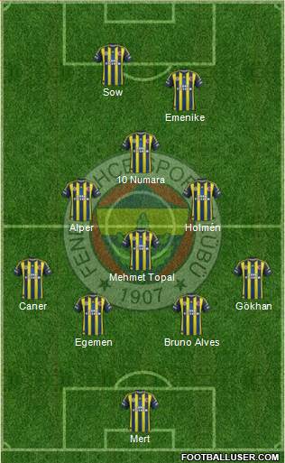 Fenerbahçe SK Formation 2013