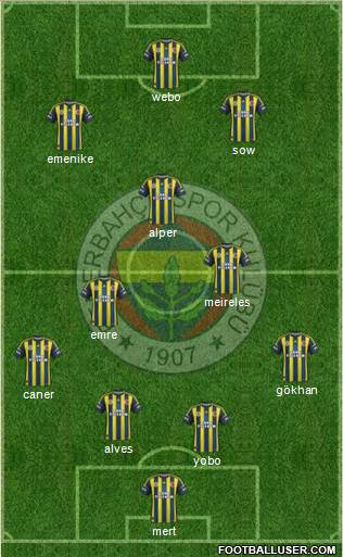 Fenerbahçe SK Formation 2013