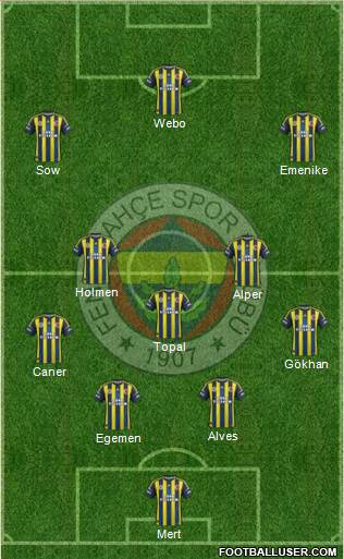 Fenerbahçe SK Formation 2013