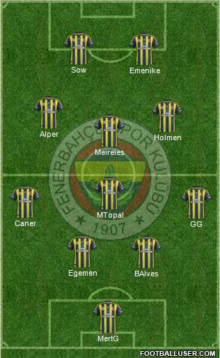 Fenerbahçe SK Formation 2013