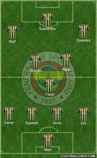 Fenerbahçe SK Formation 2013