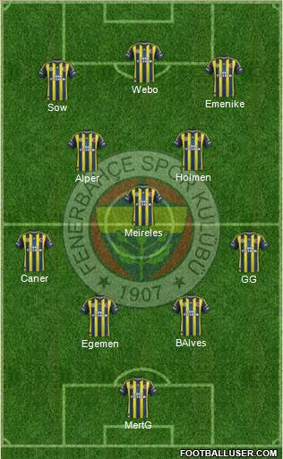 Fenerbahçe SK Formation 2013