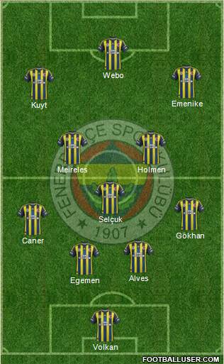 Fenerbahçe SK Formation 2013