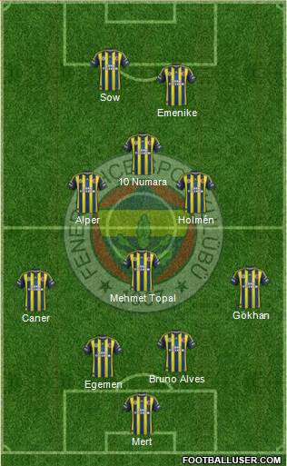 Fenerbahçe SK Formation 2013