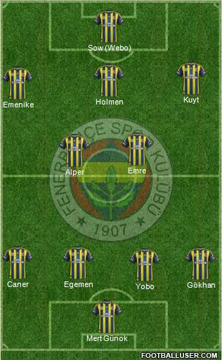 Fenerbahçe SK Formation 2013