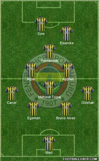 Fenerbahçe SK Formation 2013