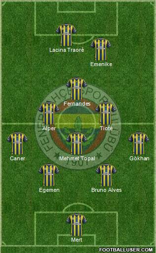 Fenerbahçe SK Formation 2013