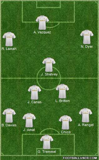 Swansea City Formation 2013