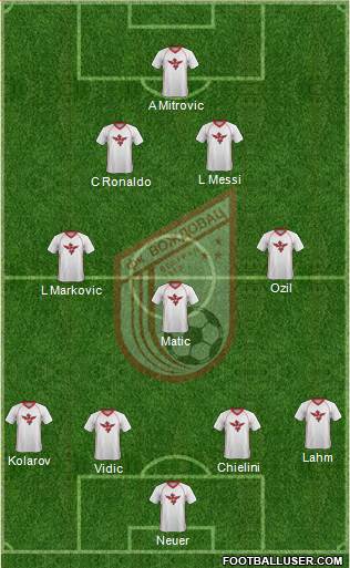 FK Vozdovac Beograd Formation 2013