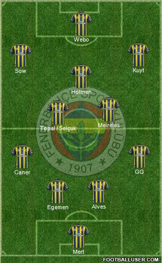 Fenerbahçe SK Formation 2013