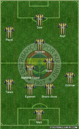 Fenerbahçe SK Formation 2013