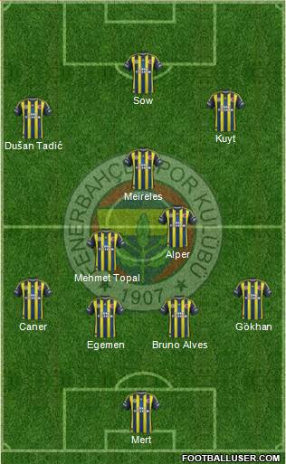 Fenerbahçe SK Formation 2013