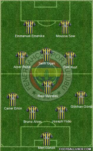 Fenerbahçe SK Formation 2013