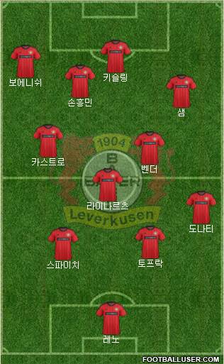 Bayer 04 Leverkusen Formation 2013
