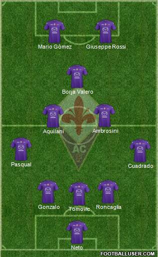 Fiorentina Formation 2013