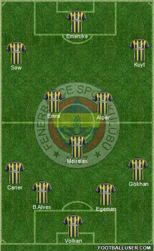 Fenerbahçe SK Formation 2013