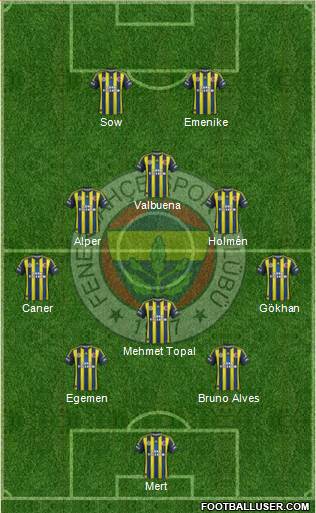Fenerbahçe SK Formation 2013