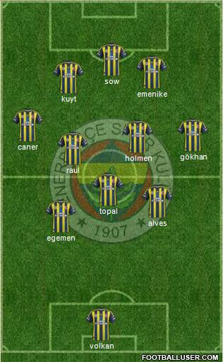 Fenerbahçe SK Formation 2013