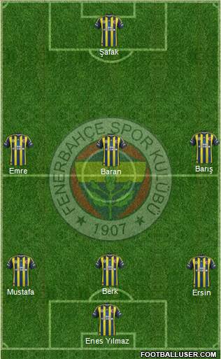 Fenerbahçe SK Formation 2013