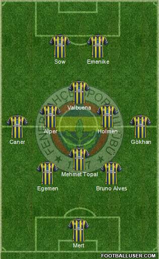 Fenerbahçe SK Formation 2013