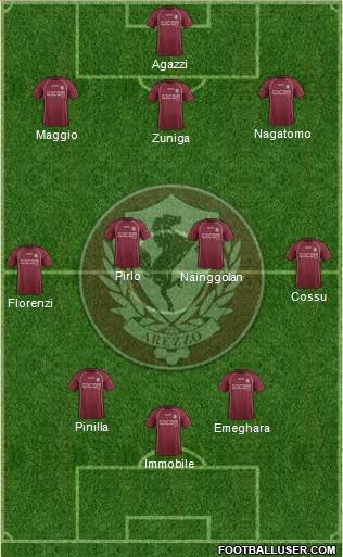 Arezzo Formation 2013